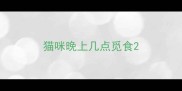 猫咪晚上几点觅食
