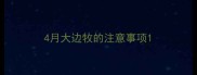 4月大边牧的注意事项