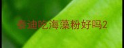 泰迪吃海藻粉好吗