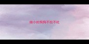 细小的狗狗不拉不吐