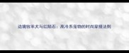 边境牧羊犬与红陨石高冷系宠物的时尚穿搭法则