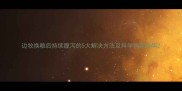 边牧换粮后持续腹泻的5大解决方法及科学调理指南