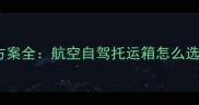 宠物狗运输5大安全方案全航空自驾托运箱怎么选新手必看运输指南