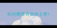 杭州哪里有卖哈士奇