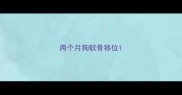 两个月狗髌骨移位