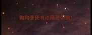 狗狗便便有点稀还很臭