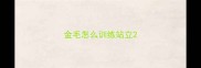 金毛怎么训练站立