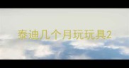 泰迪几个月玩玩具