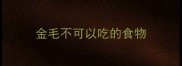 金毛不可以吃的食物