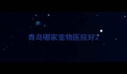 青岛哪家宠物医院好