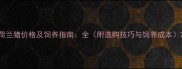 荷兰猪价格及饲养指南全附选购技巧与饲养成本