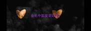 金毛中国登录冠军