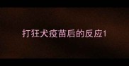 打狂犬疫苗后的反应