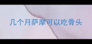 几个月萨摩可以吃骨头