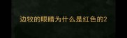 边牧的眼睛为什么是红色的