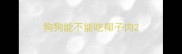 狗狗能不能吃椰子肉