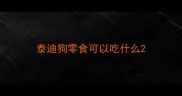 泰迪狗零食可以吃什么