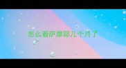 怎么看萨摩耶几个月了