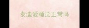 泰迪爱睡觉正常吗