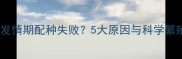 金毛犬发情期配种失败5大原因与科学繁殖指南
