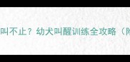 两个月拉布拉多夜叫不止幼犬叫醒训练全攻略附科学纠正方法
