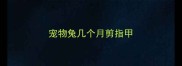 宠物兔几个月剪指甲