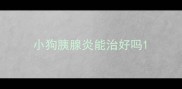 小狗胰腺炎能治好吗