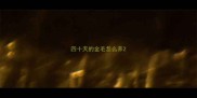 四十天的金毛怎么养