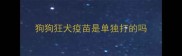 狗狗狂犬疫苗是单独打的吗