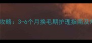 哈士奇换毛全攻略3-6个月换毛期护理指南及常见问题解决