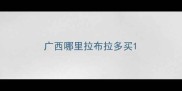 广西哪里拉布拉多买