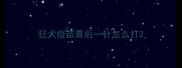 狂犬疫苗最后一针怎么打
