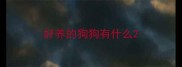 好养的狗狗有什么