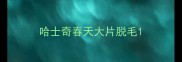 哈士奇春天大片脱毛