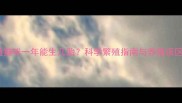 普通猫咪一年能生几胎科学繁殖指南与养猫误区全