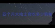 四个月大哈士奇吃多少狗粮
