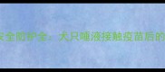 宠物狂犬疫苗安全防护全犬只唾液接触疫苗后的科学应对指南