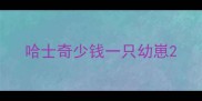 哈士奇少钱一只幼崽