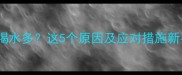 两个月大猫咪喝水多这5个原因及应对措施新手必看