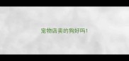 宠物店卖的狗好吗