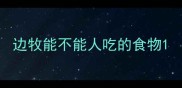 边牧能不能人吃的食物