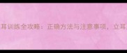 边境牧羊犬立耳训练全攻略正确方法与注意事项立耳成功率达90