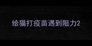 给猫打疫苗遇到阻力