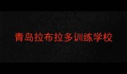 青岛拉布拉多训练学校