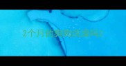 2个月的狗狗洗澡吗