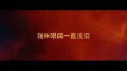 猫咪眼睛一直流泪