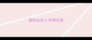 猫咪皮肤上有硬疙瘩