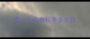 养一个拉布拉多多少钱