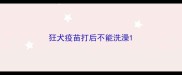 狂犬疫苗打后不能洗澡