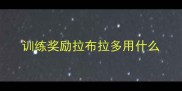 训练奖励拉布拉多用什么